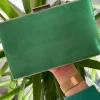 Clutch rectangular VERDE HIERBA cierre dorado Megan